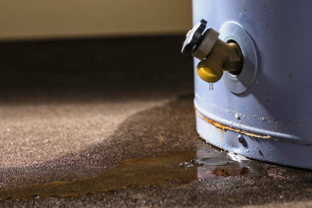 Best Sewage cleanup and water damage restoration  in Turpin Hills, OH
