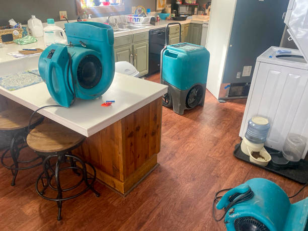 Professional Water damage restoration in Turpin Hills, OH