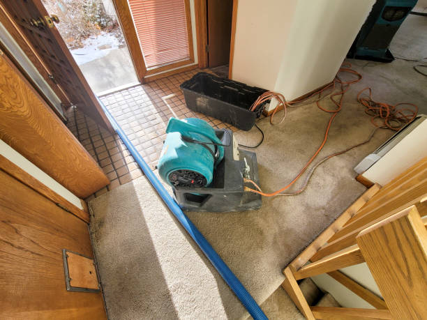 Best Residential water damage restoration  in Turpin Hills, OH