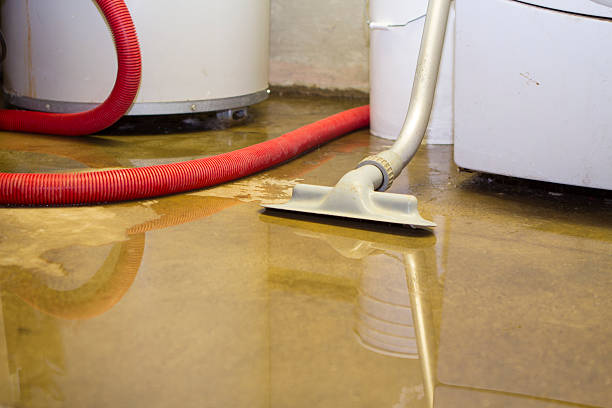 Best 24-hour water damage restoration  in Turpin Hills, OH