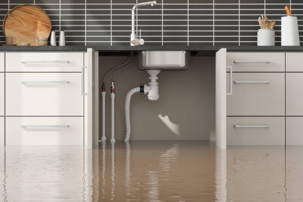 Best Professional water damage repair  in Turpin Hills, OH