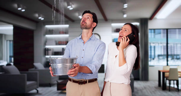 Best Water damage restoration near me  in Turpin Hills, OH
